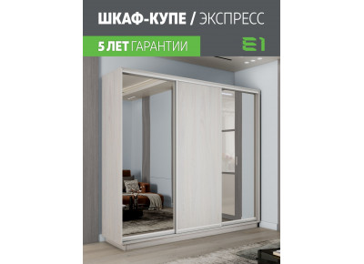 Шкаф-купе Медиум 2 зеркало, 240х45х220 45EMT2_240_SAS