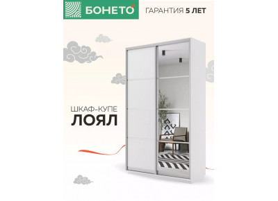 Шкаф-купе Лоял 2дв.- ДСП/Зеркало, 120х60х220, LoyalDZ_120_B